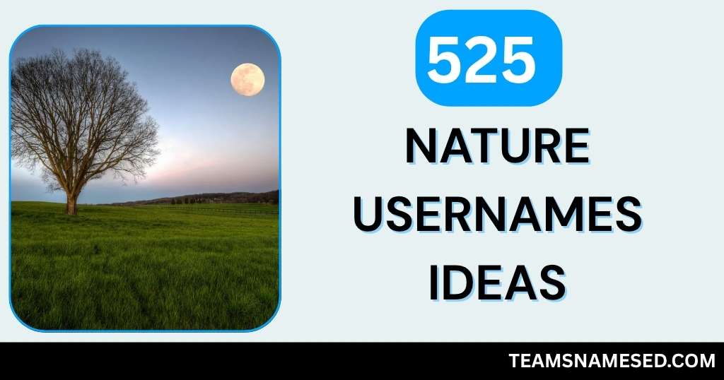 Nature Usernames
